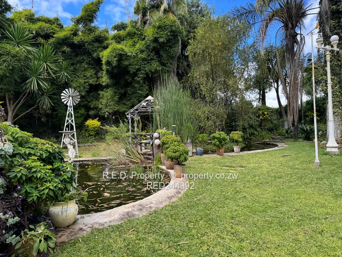 Stunning Family Residence In Hillside!