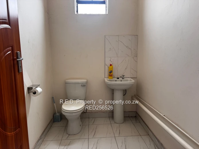 CBD Shop available to rent - Available 1 January 