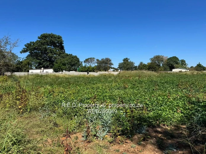 Vacant Stand In Killarney!