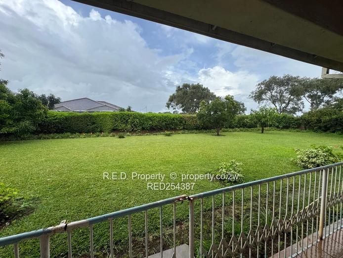 Multi-Dwelling Property  in Selbourne park