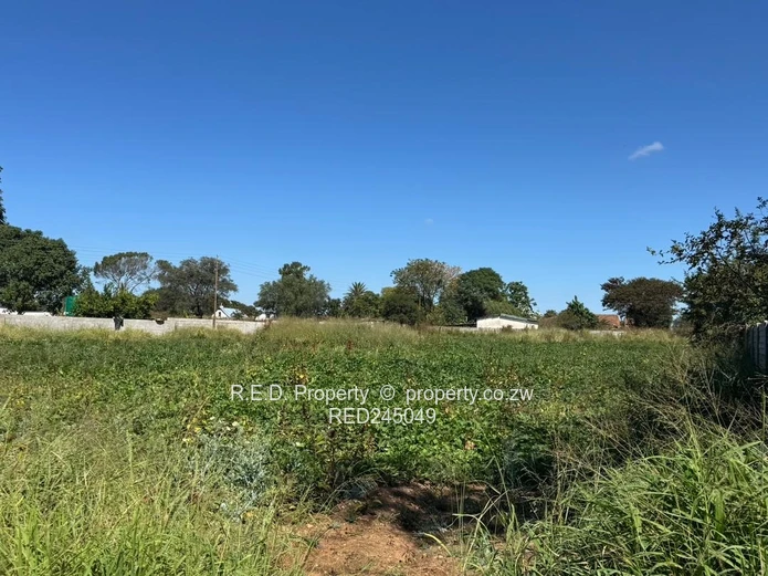 Vacant Stand In Killarney!