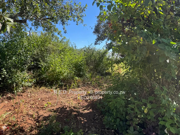  Potential in Peaceful Manningdale!