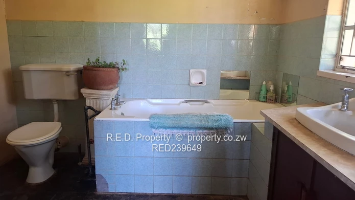 Space, Location, and Opportunity Combined In Kumalo!