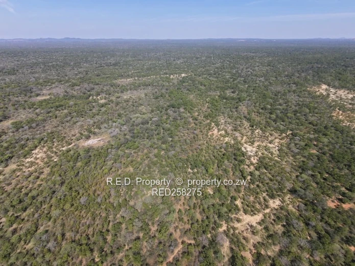 Vast Land for Sale in Kezi, Matobo District