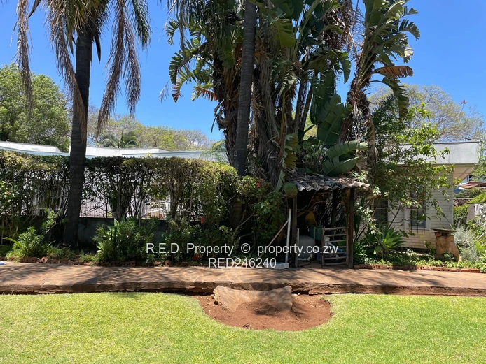 3 Bedroom House For Rent In Suburbs!